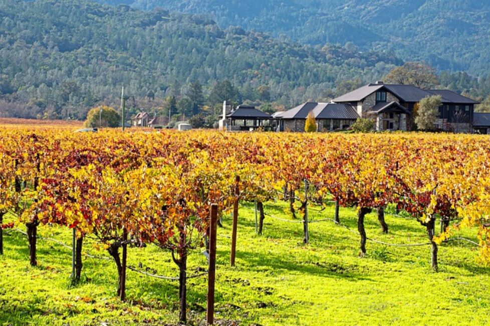 autumn-napa-valley